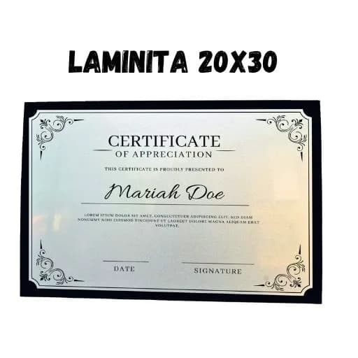 Laminita Plateada 8x12 / 20x30 cms )