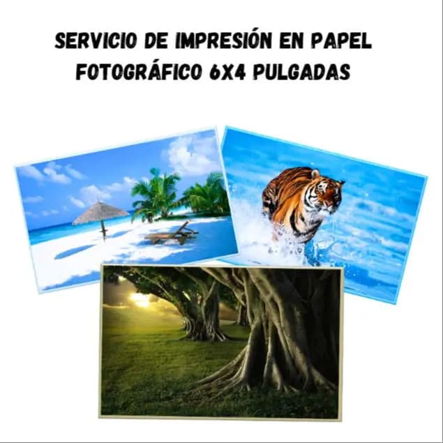 Impresión En Papel Fotográfico Tamaño 6x4 Pulgadas